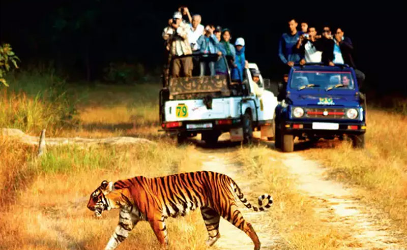 images/jim-corbett.jpg